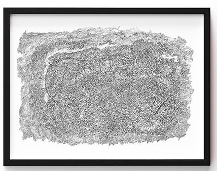 Artwork by Ulises Canales Sáenz, NAEMI collection